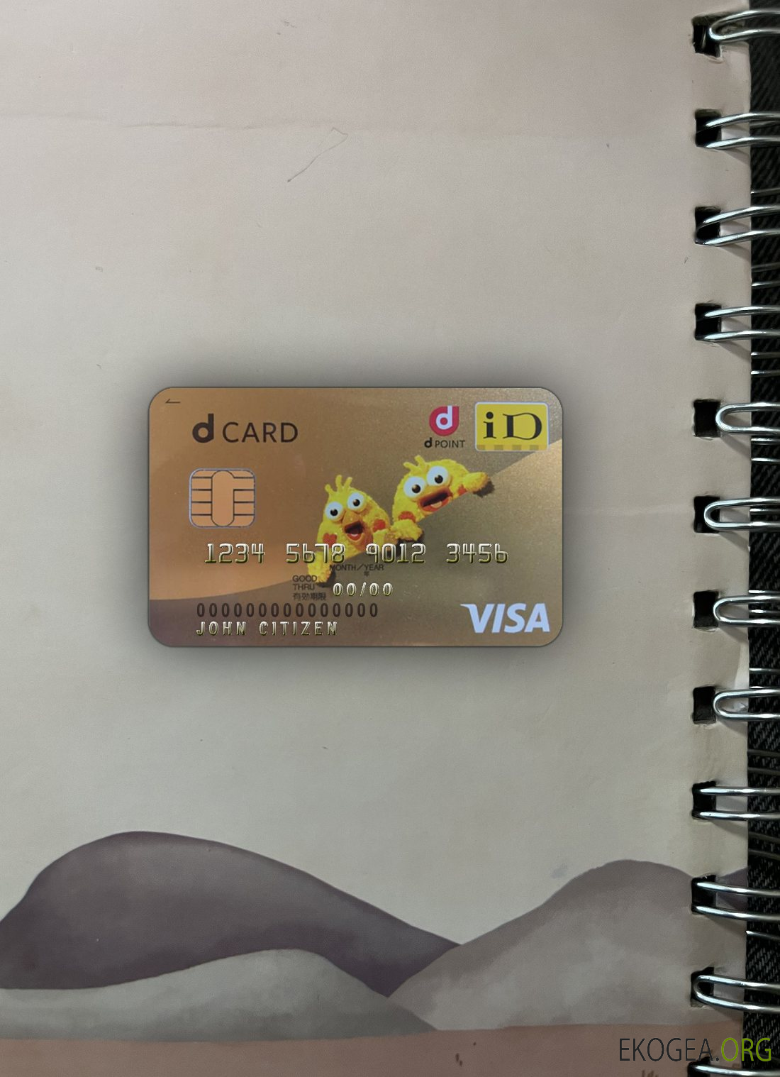 Photolook carte visa Japon D point club recto